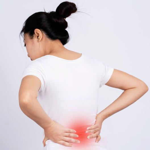中醫稱腰背痛與「腎虛」有關_ANKH機能再生