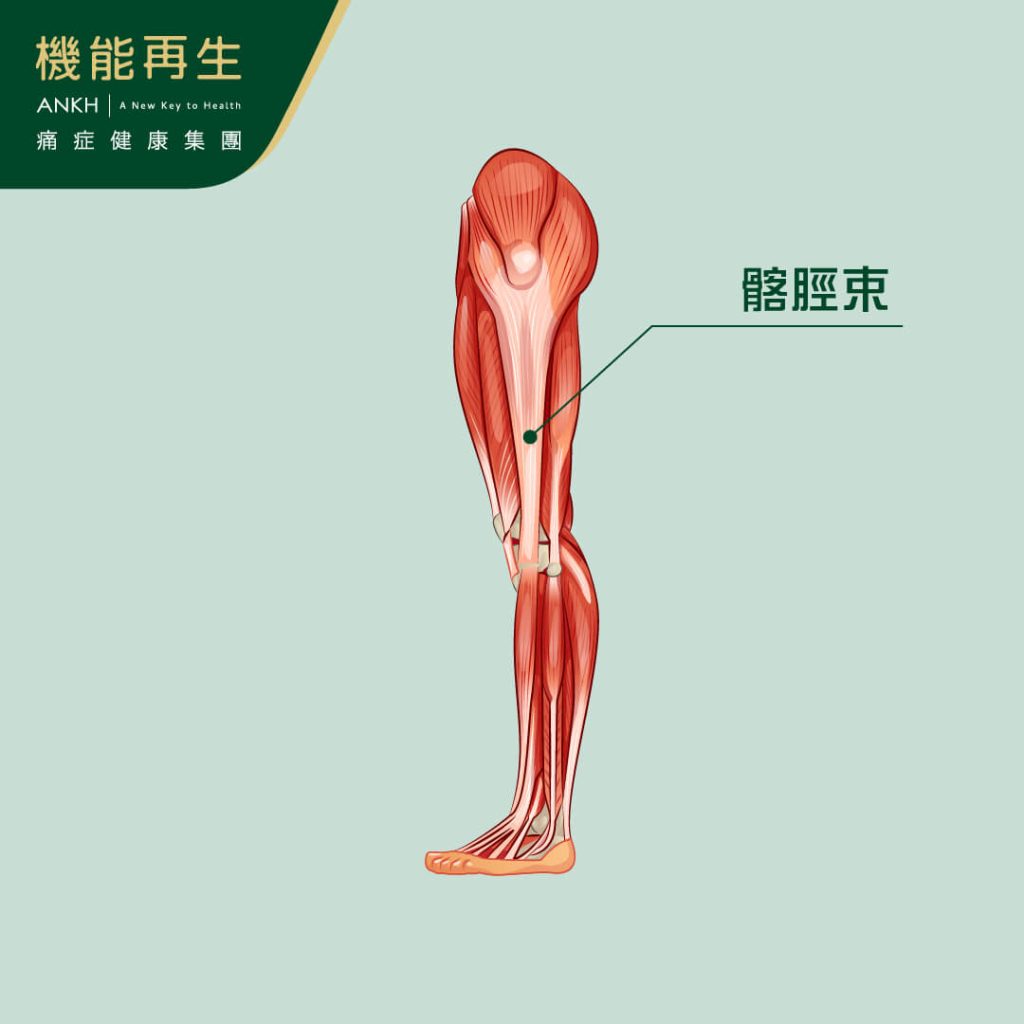 髂脛束位置圖-ANKH機能再生