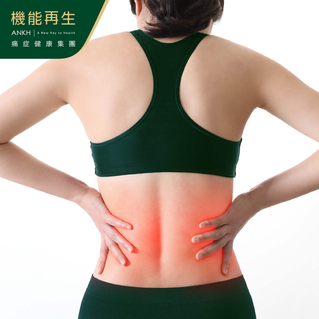 腰痛與腎虛之間的關聯-ANKH機能再生