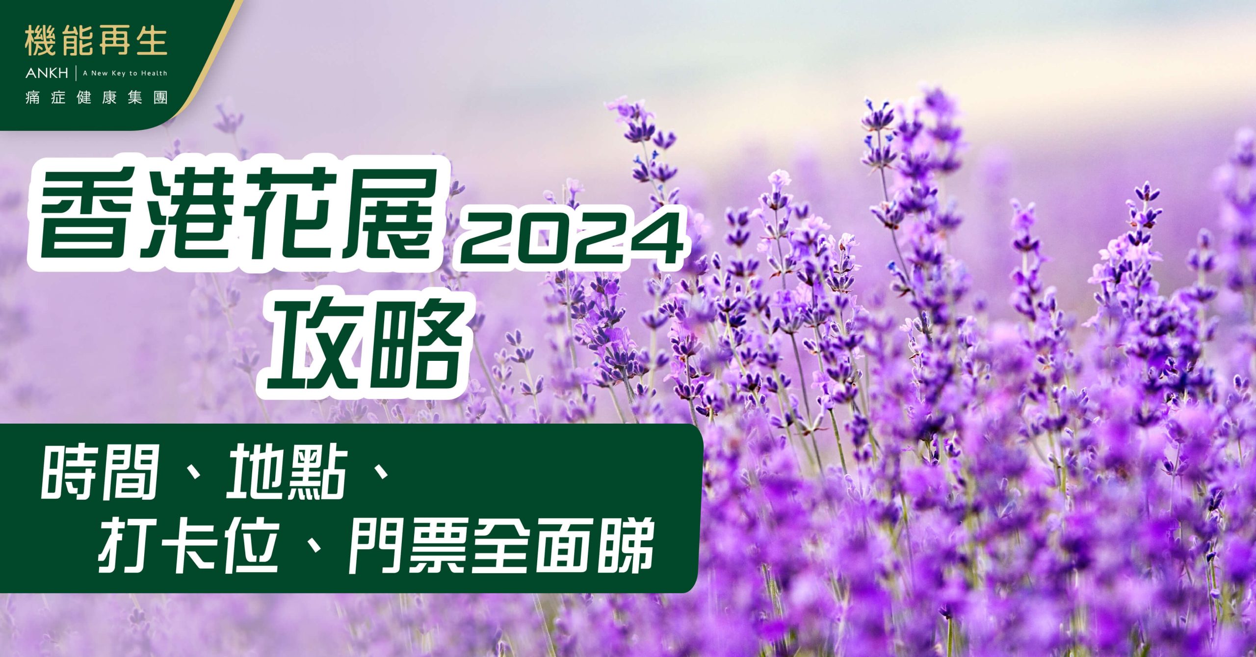 【香港花展2024攻略】門票、時間、地點、打卡位全面睇（附行得耐舒緩肌肉酸痛方法）