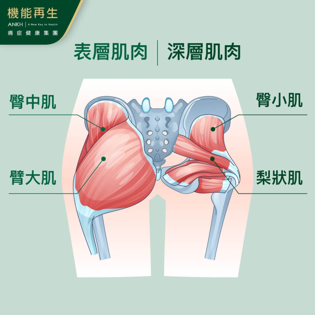 【背痛位置大揭秘】拆解上、中、下、左、右背痛原因，推介6舒緩方法。
