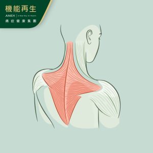 【背痛位置大揭秘】拆解上、中、下、左、右背痛原因,推介6舒緩方法。