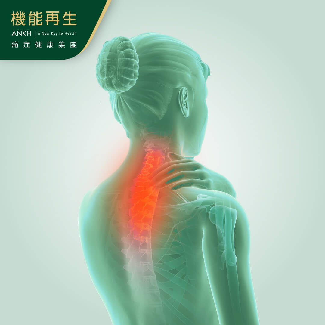 【上背痛】原因持續不明?從上背肌肉、脊椎結構深入剖析。