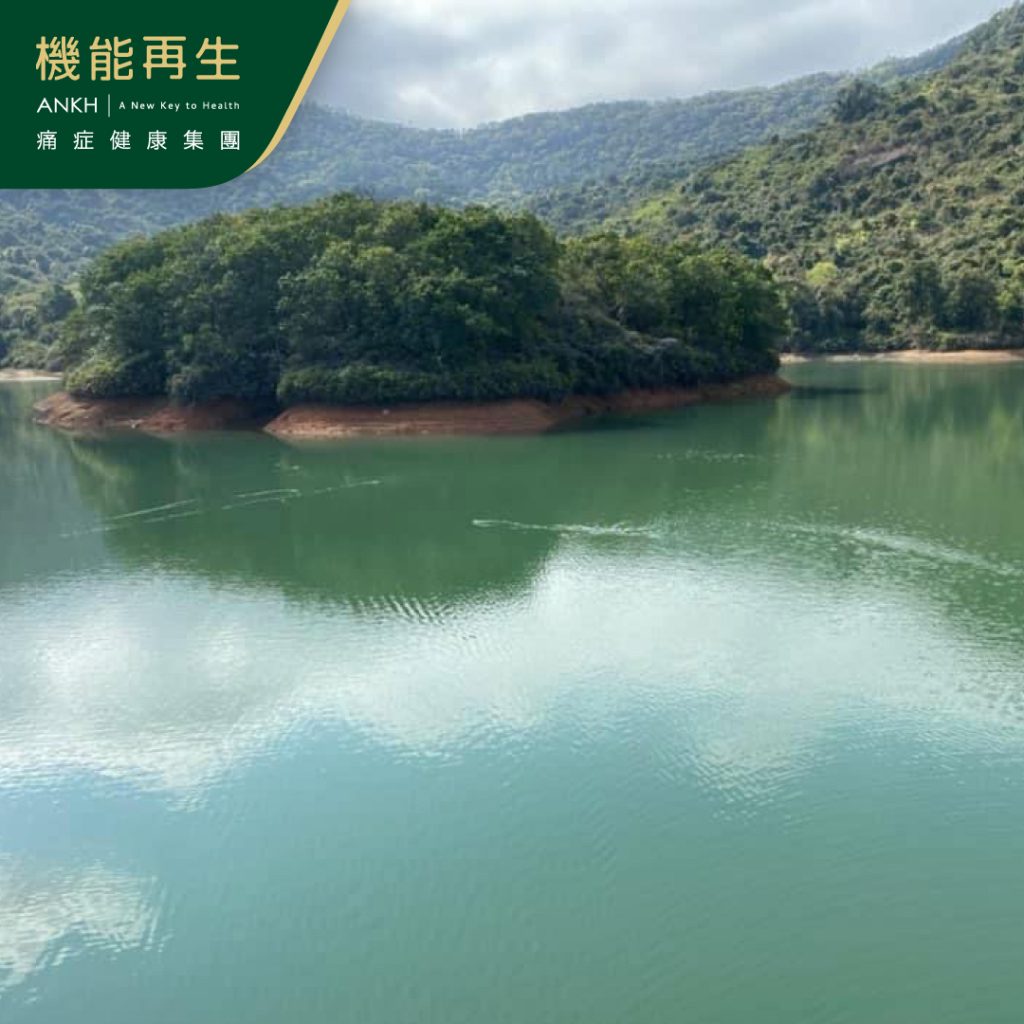 河背水塘沿路會經過竹林,是打卡熱點之一-ANKH機能再生痛症健康集團