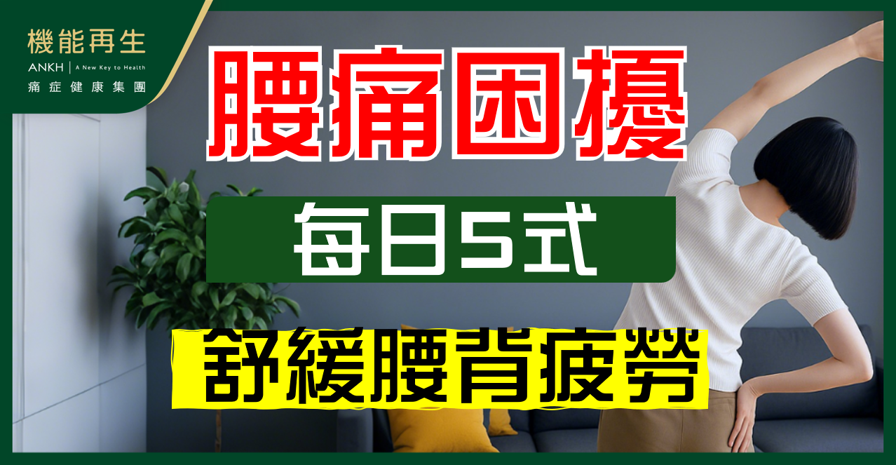 【腰痛舒緩】教你5式運動及拉筋伸展動作緩解腰背痛